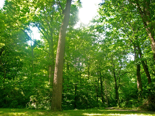 Parc Jean Drapeau