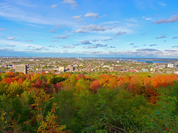 Mont-Royal en automne