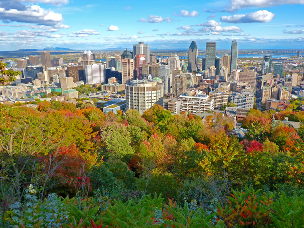 Mont-Royal en automne