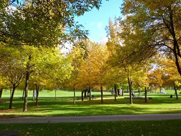 Mont-Royal en automne