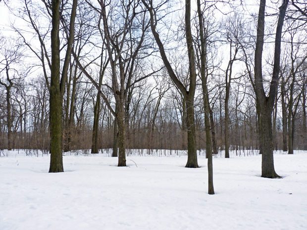 Parc Jean Drapeau