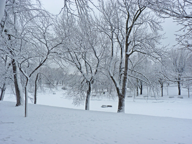 Chute de neige