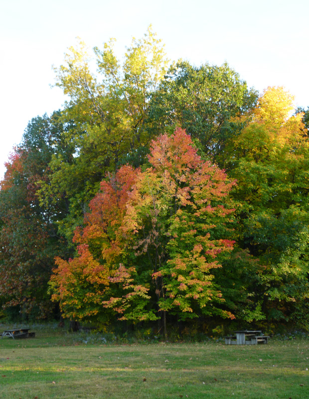 Couleurs d'automne 