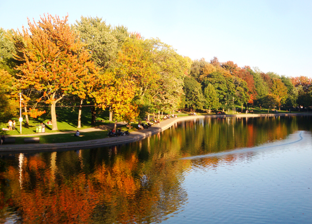 Couleurs d'automne 