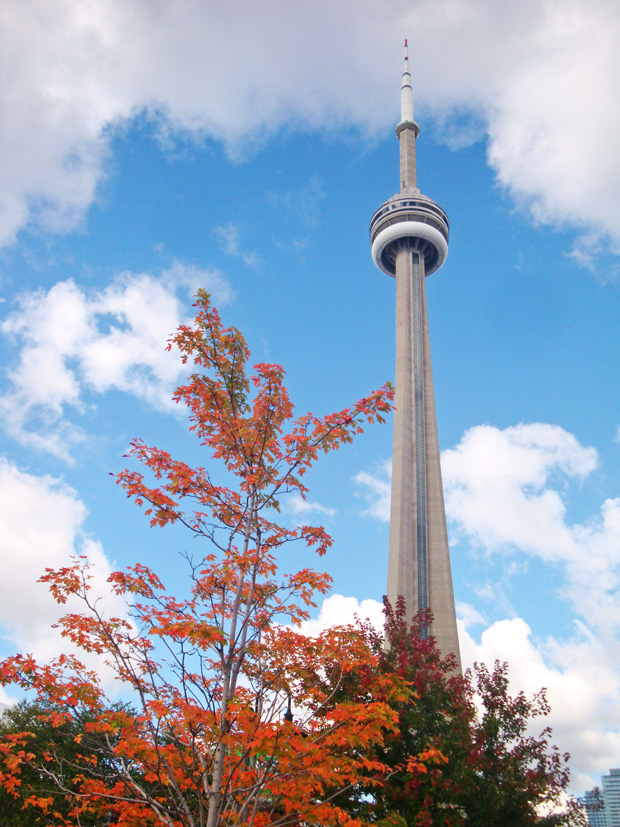 Toronto Downtown