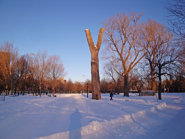 Parc Lafontaine hockey