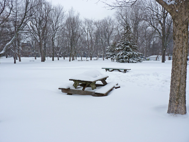 Parc Lafontaine hockey