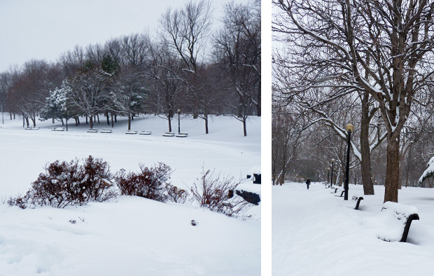 Parc Lafontaine hockey