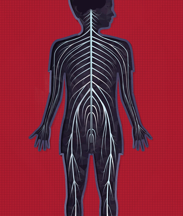 The human body App by Tinybop
