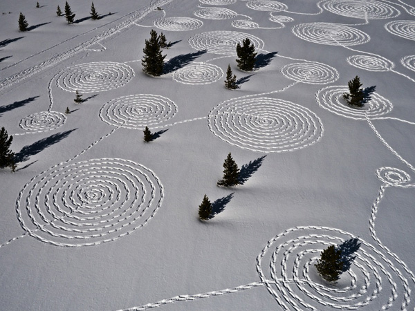 Snow Circles