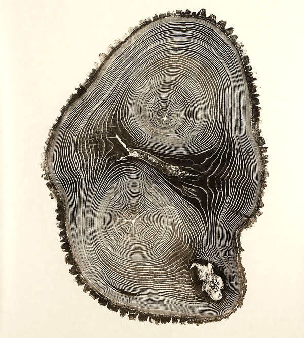 Bryan Nash Gill - Woodcuts