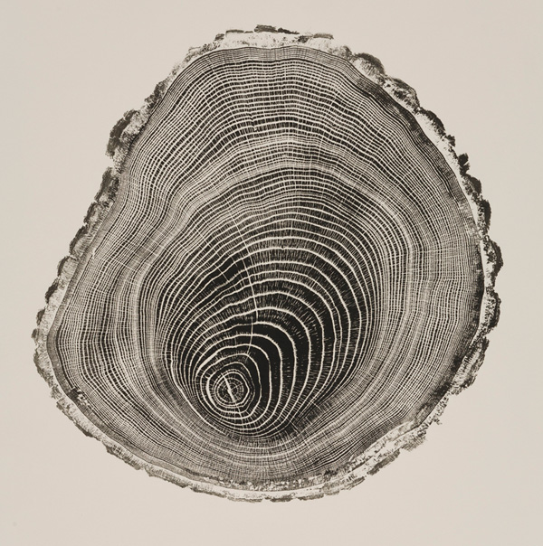 Bryan Nash Gill - Woodcuts