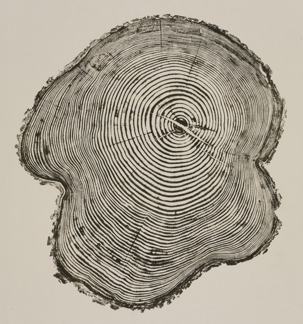 Bryan Nash Gill - Woodcuts