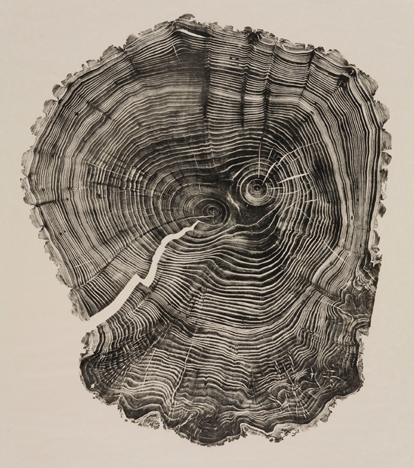 Bryan Nash Gill - Woodcuts