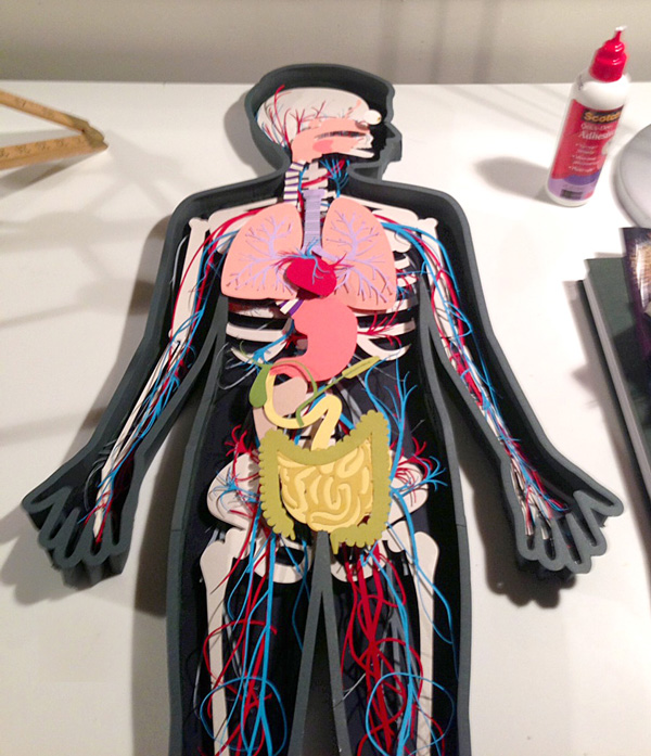 The human body App by Tinybop