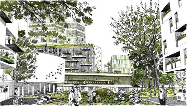 Diane Berge Illustratruce, architecte