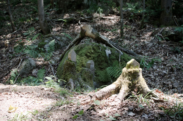 les Jardins du Précambrien  Val-David