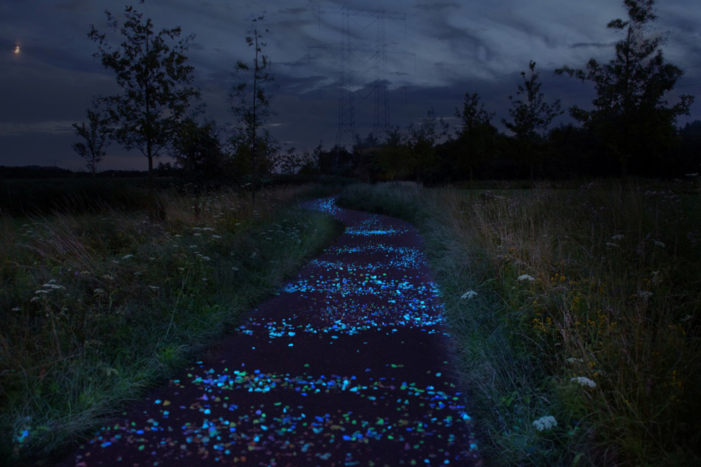 Van Gogh Bicycle Path