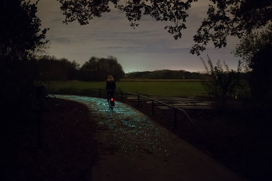 Van Gogh Bicycle Path