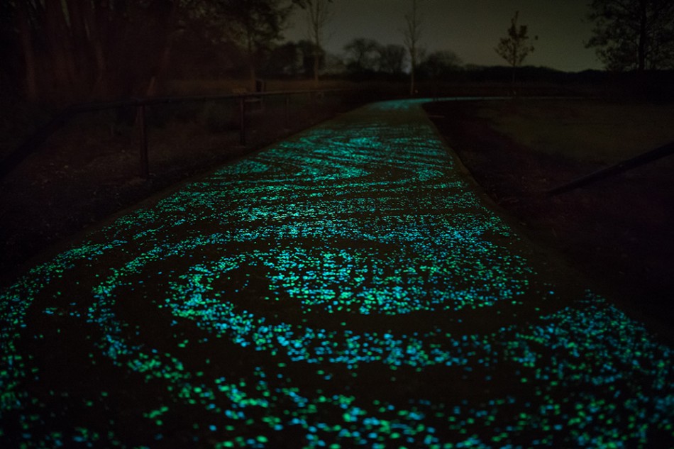 Van Gogh Bicycle Path