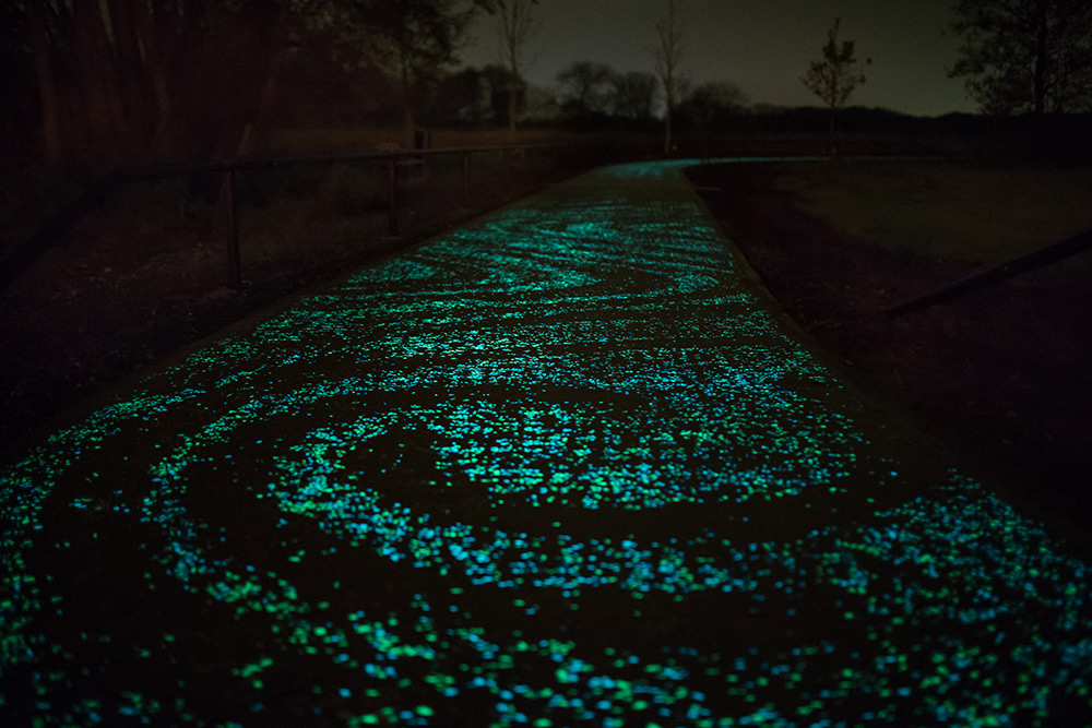 Van Gogh Bicycle Path