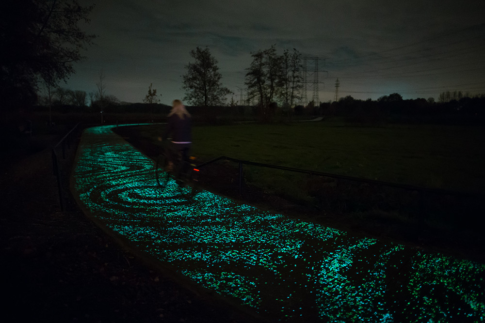 Van Gogh Bicycle Path