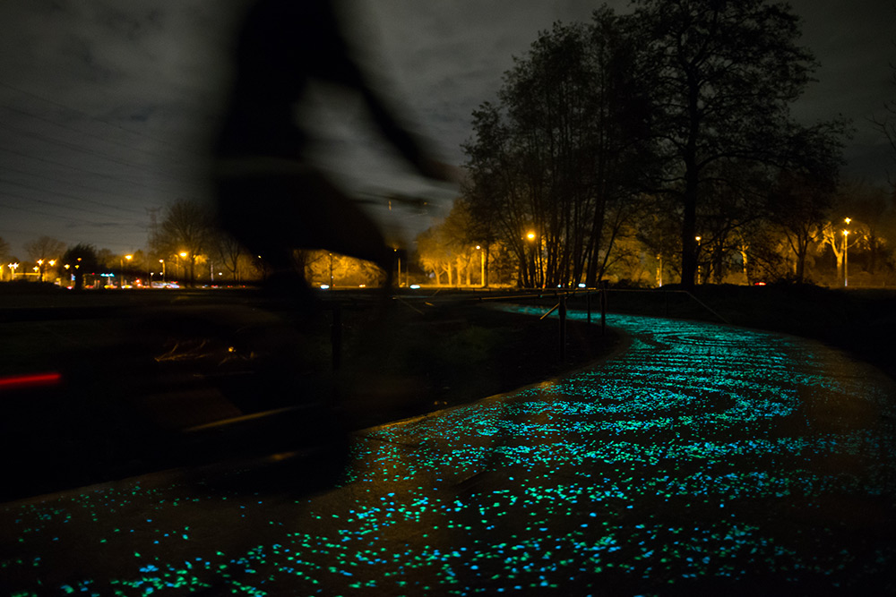 Van Gogh Bicycle Path