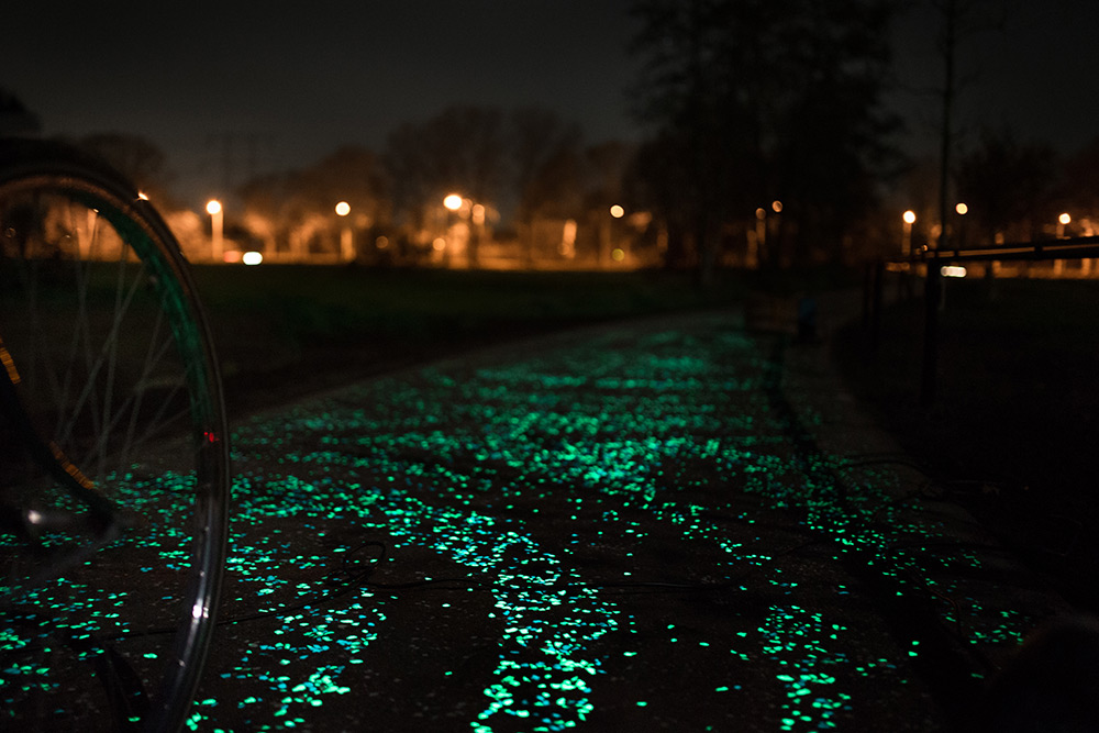 Van Gogh Bicycle Path