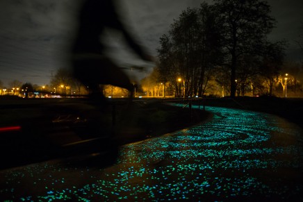 Van Gogh Bicycle Path