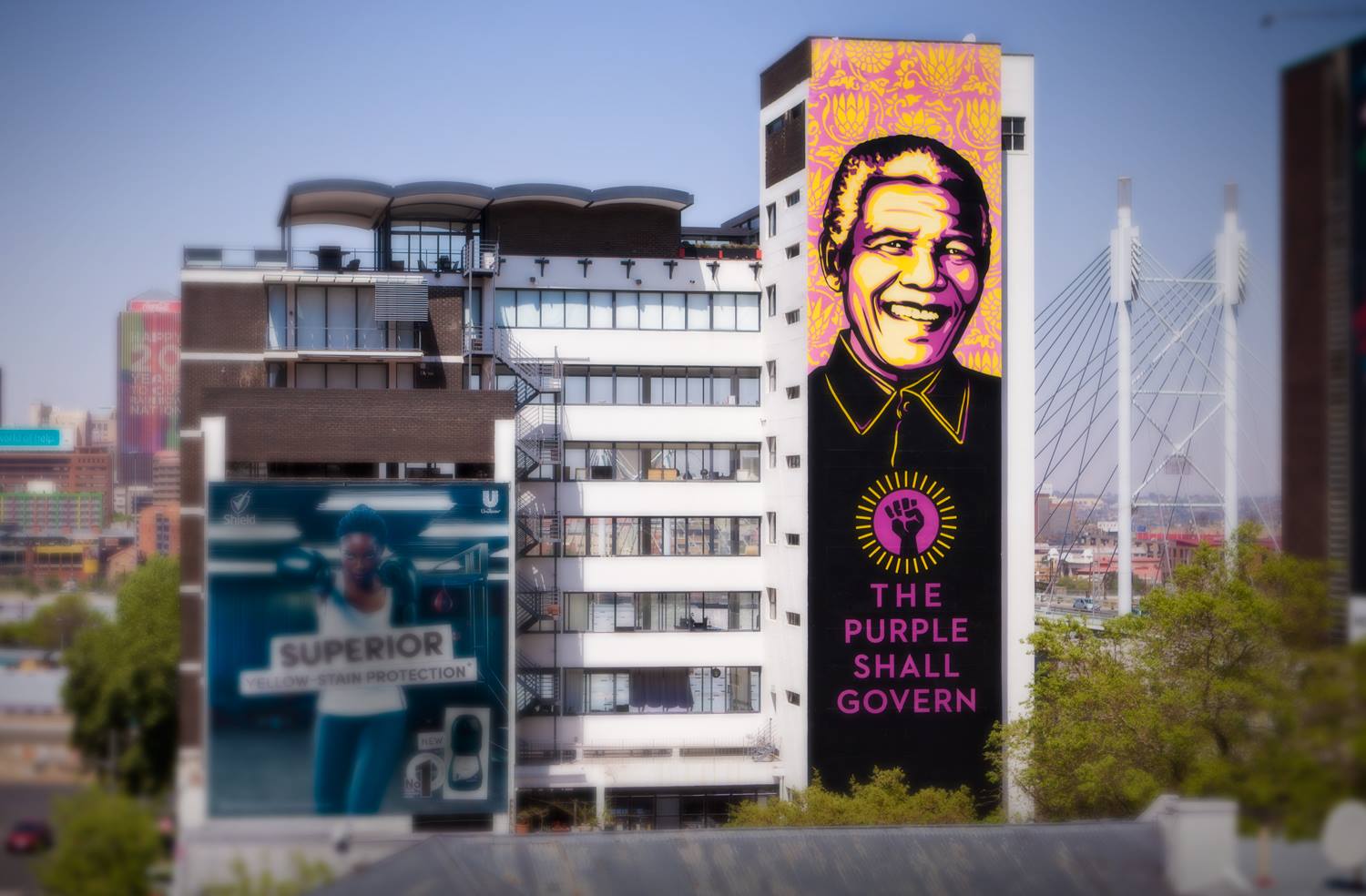 Nelson Mandela Shepard Fairey The Purple Shall Govern