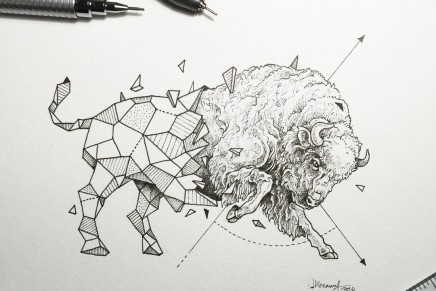 Les dessins d’animaux géométrico-réalistes de Kerby Rosanes