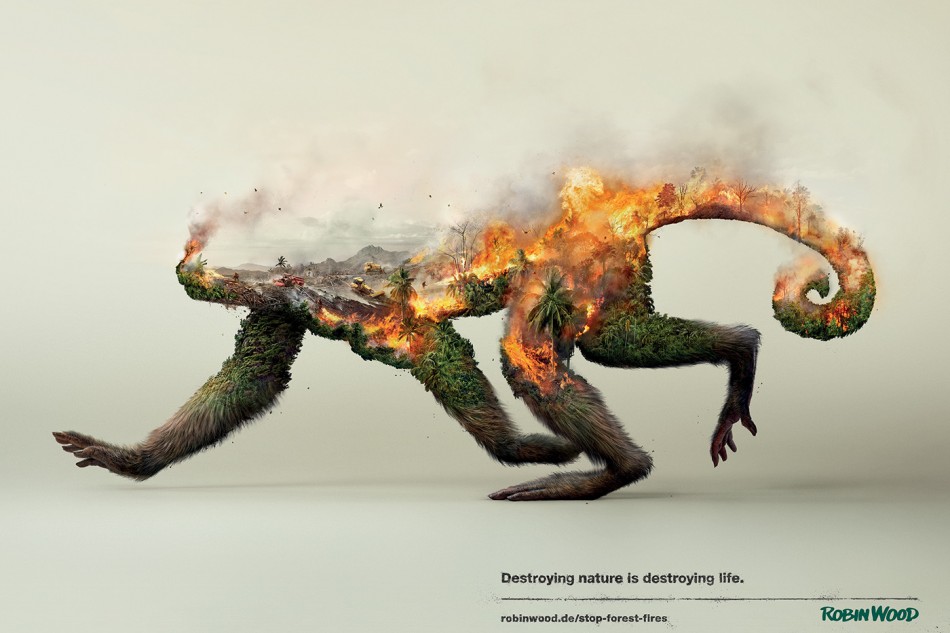 Destroying nature is destroying life robin wood