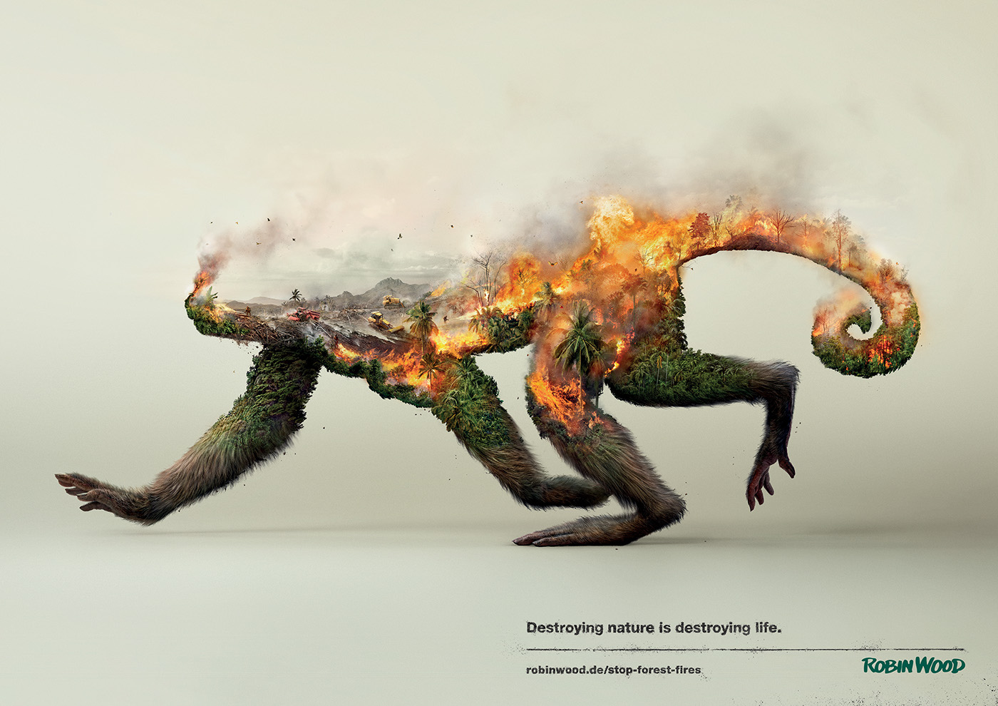 Destroying nature is destroying life robin wood