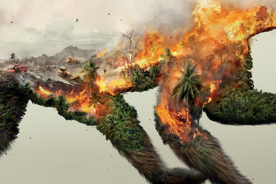 Destroying nature is destroying life robin wood